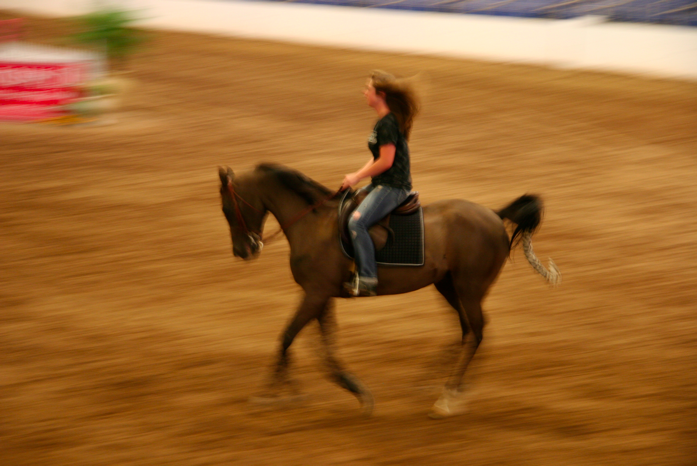 Horse Show